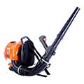 petrol leaf blower