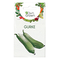 cucumber seed