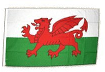 Fahne Flagge Wales 30 x45 cm