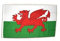 Fahne Flagge Wales 30 x45 cm