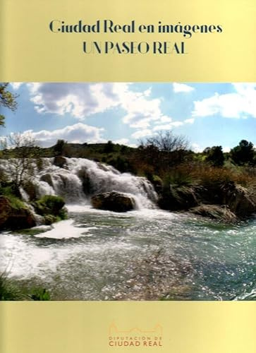 Ciudad real en imágenes. Un paseo real (DIPUTACION DE CIUDAD REAL)