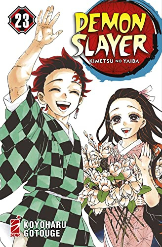 Demon slayer. Kimetsu no yaiba (Vol. 23)