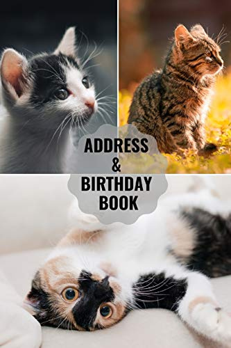 Address & Birthday Book: Large Print | Cat Cover | Address Book for Names, Addresses, Phone Numbers, E-mails and Birthdays