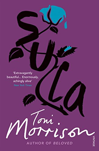 Sula: A landmark novel on Black womanhood, community, and the price of freedom