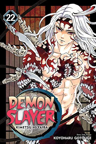 Demon Slayer: Kimetsu no Yaiba, Vol. 22: The Wheel Of Fate: Volume 22