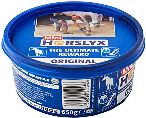 William Hunter Leckmasse ´Horslyx´, 650 g (1er Pack)