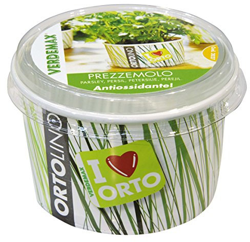 Verdemax 2027 - Kit prezzemolo Ortolino, Colore: Bianco/Verde