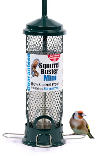Squirrel-proof Bird Feeder for Small Birds - Jacobi Jayne Squirrel Buster Mini – Pigeon Proof Metal Bird Seed Feeds for Wild Birds – Easy Clean Hanging Bird Feeder for Garden Birds