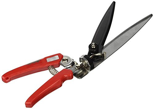 Ama 33037 Cisailles à gazon