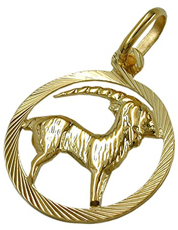 Anhänger 15mm Sternzeichen Steinbock 9Kt GOLD