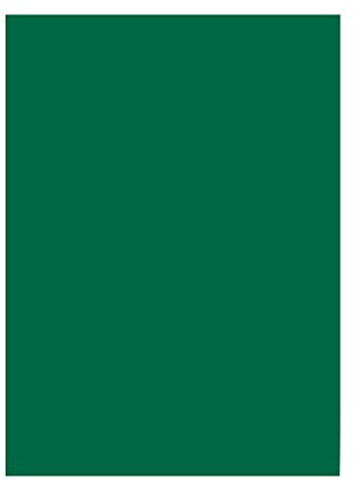 Folia 6358 - Lot de 50 Feuilles de Papier de Couleur - Vert Sapin - Format A3-130 g/m² - pour Le Bricolage et la Conception créative des Cartes, des Images de fenêtre et pour Le Scrapbooking