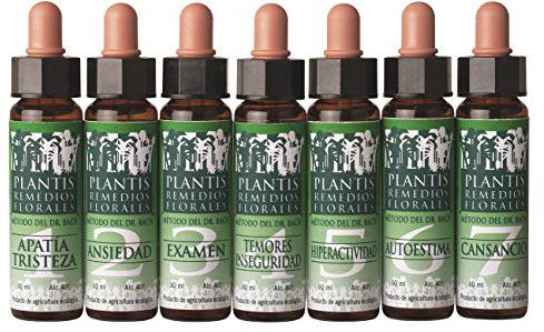 PLANTIS N.23 OLIVE 10 ML