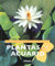 Plantas de acuario (Jardinería Y Plantas)