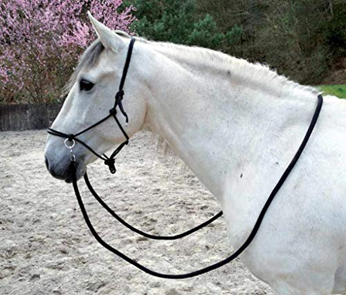 Knotenhalfter mit Ringen schwarz für Ausbildung, Bodenarbeit, Longieren 035/095