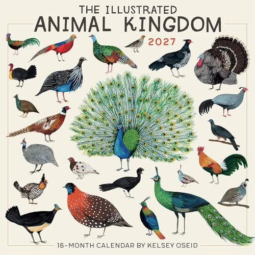 The Illustrated Animal Kingdom 2027 Wall Calendar, 16-Month Animal Art & Nature Calendar by Kelsey Oseid, 12 x 12