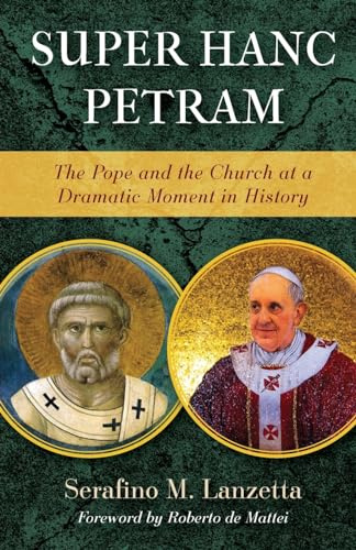 Super Hanc Petram: The Pope and the Church at a Dramatic Moment in History: 9
