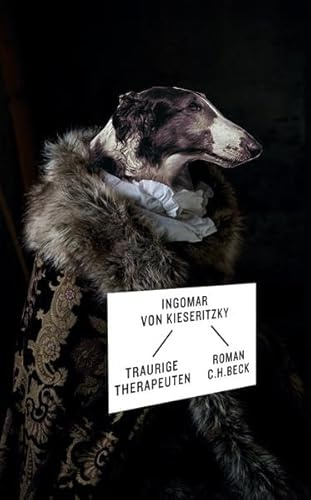 Traurige Therapeuten: Roman