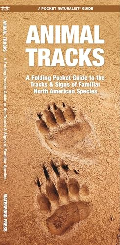 Animal Tracks: A Folding Pocket Guide to the Tracks & Signs of Familiar North American Species (Wildlife and Nature Identification)