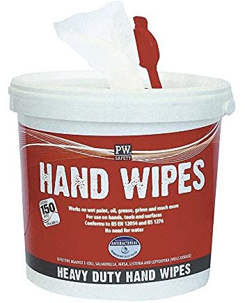 Portwest IW10WHR Salviette per Pulizia Mani, Bianco