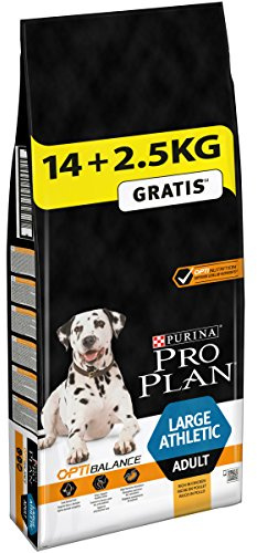 Purina Pro Plan Sac d’Aliment Complet pour Chiens Adultes athlétiques de Grande Taille Aliment Sec Riche en Poulet avec Optibalance™