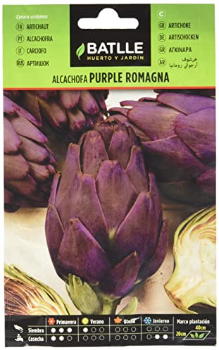 Semillas Batlle Alcachofa PURPLE ROMAGNA