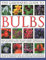 The Gardener's Guide to Bulbs: How to create a spectacular garden through the year with bulbs, corns, tubers and rhizomes; an illustrated directory of ... to growing them with over 800 photographs