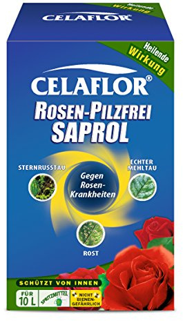 CELAFLOR® Rosen-Pilzfrei Saprol® - 100 ml