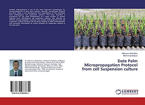 Date Palm Micropropagation Protocol from cell Suspension culture