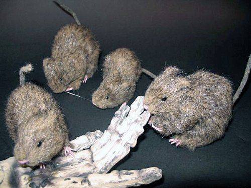 Halloweendeko - 1 Stück Ratte mit Fell - ca. 15 cm