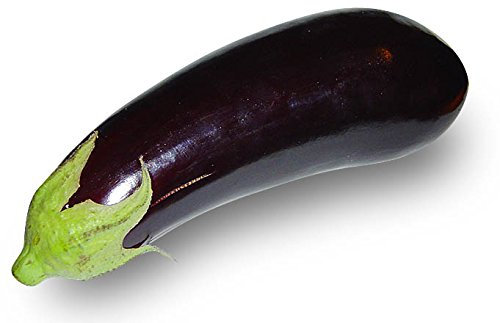 Italian Heirloom Heritage Aubergine Eggplant Seeds. Larga Negra Large Black. Certified Organic Grower