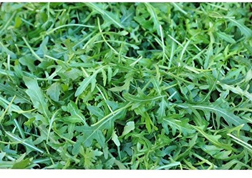 RUCOLA SELVATICA A FOGLIE FRASTAGLIATE NR.2000 SEMI