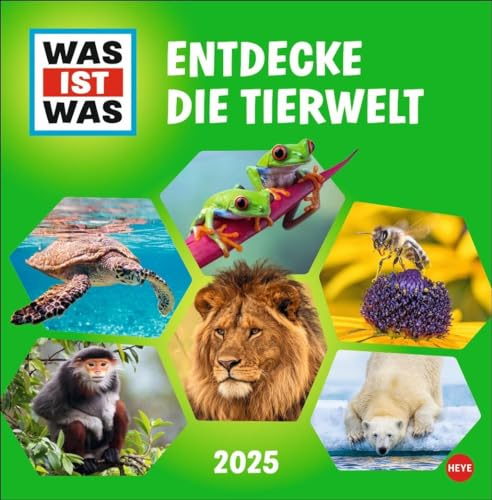 WAS IST WAS Tierwelt Broschurkalender 2025: Jeden Monat Neues lernen mit dem Tierkalender 2025! Wandkalender fürs Kinderzimmer: Kinderwissen über Tiere spannend präsentiert, 29,5 x 60 cm
