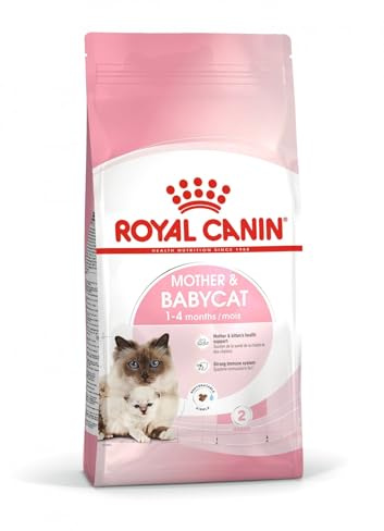 Royal Canin Mother and Babycat Dry Cat Food 2kg