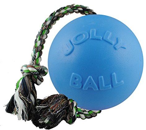 Jolly Pets Romp-N-Roll Rope & Ball Dog Toy, 8 in Large, Blueberry