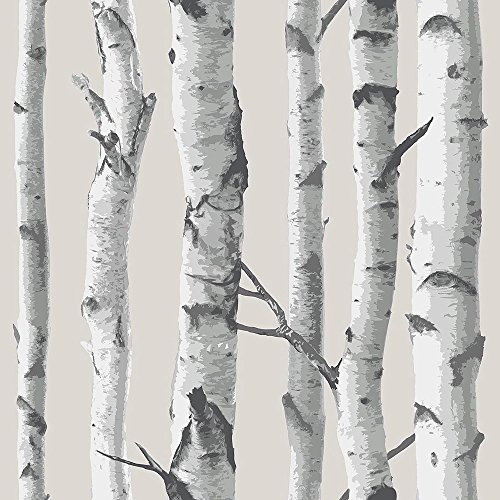 NuWallpaper NU1650 Birch Tree Peel and Stick Wallpaper, Taupe, 0.1 in*216.0 in*20.5 in