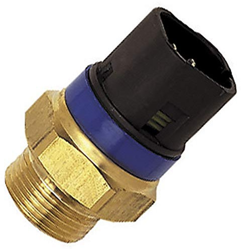 FAE 38110 Interruptor de Temperatura, Ventilador del Radiador