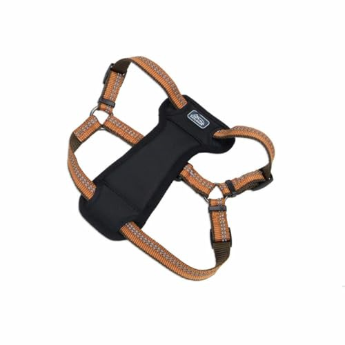 Coastal Pet K9 Explorer Reflective Adjustable Padded Dog Harness - Plush Chest Pad for Comfort - No-Pull Dog Harness for Small and Large Dogs - Campfire Orange - 1 x 26-38, Large