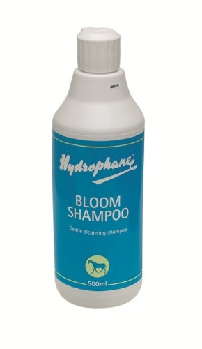 Hydrophane - Bloom Horse Shampoo x Size: 500 Ml
