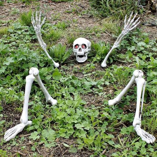 Skeleton Halloween Fancy Dress Decoration Prop with Light Up Eyes - Ground Breaking Scary Party Decoration: Skull, 2x Arms & 2x Legs