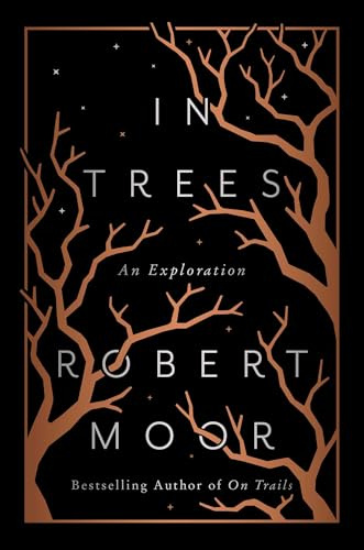 In Trees: An Exploration