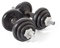 York Fitness 20 kg Cast Iron Spinlock Dumbbell - Adjustable Hand Weights Set (Pack of 2) - Black