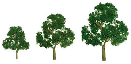 Premium Tree, Deciduous 14cm (1)