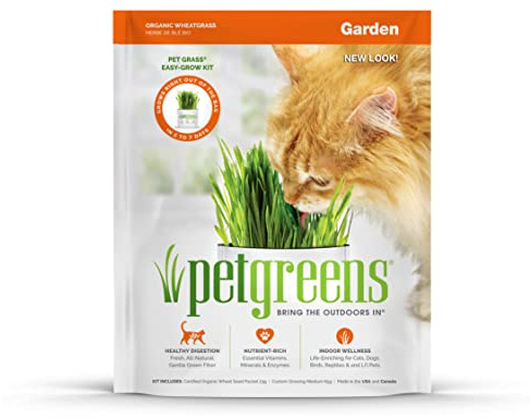 Pet Greens Self-Grow Pet Grass Kit