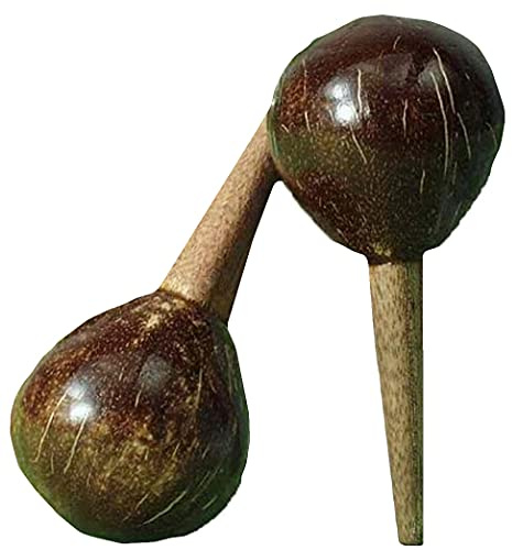 Forum Coconut Maracas