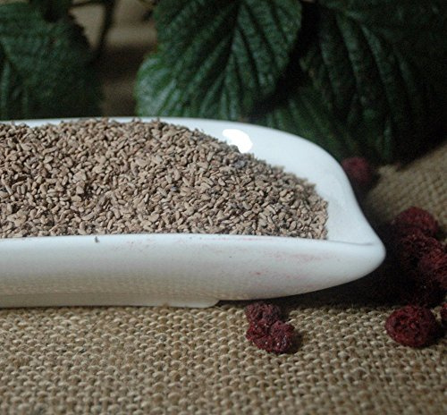 Naturix24 – Hallonfrön hela – 100 g påse