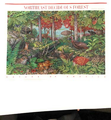 USPS Northeast Deciduous Forest Wildlife, Seventh in a Series, Nature of America (Pane of 10) 37 Cent Postage Stamps Scott #3899