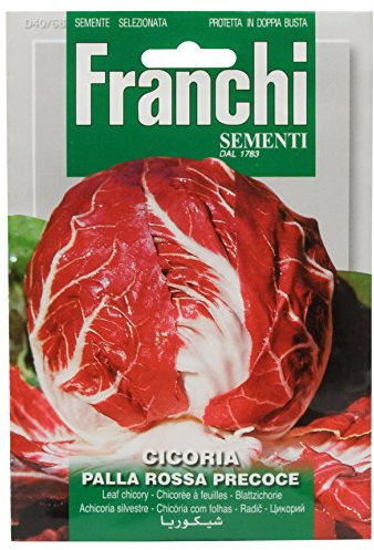 Franchi Radicchio Palla Rossa Precoce