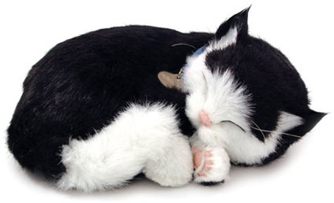 Perfect Petzzz - 65432 - Peluche Interactive - Chat - Shortair Bundle - Noir / Blanc - Animal Qui Respire pour de Vrai - 25 cm