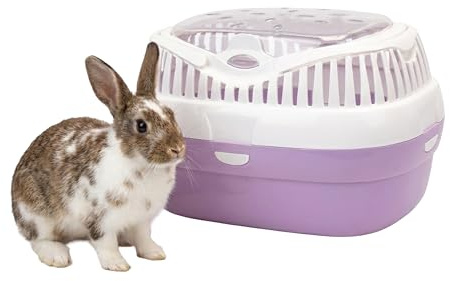 Ferplast Trasportino per conigli, porcellini d'india e ratti ALADINO LARGE Fessure di ventilazione, Comoda maniglia, Chiusura sicura, 36 x 26 x h 23 cm, Fucsia