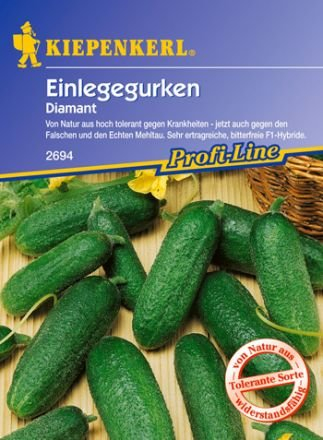 Einlegegurke 'Diamant' (Cucumis sativus) Saaten von Kiepenkerl